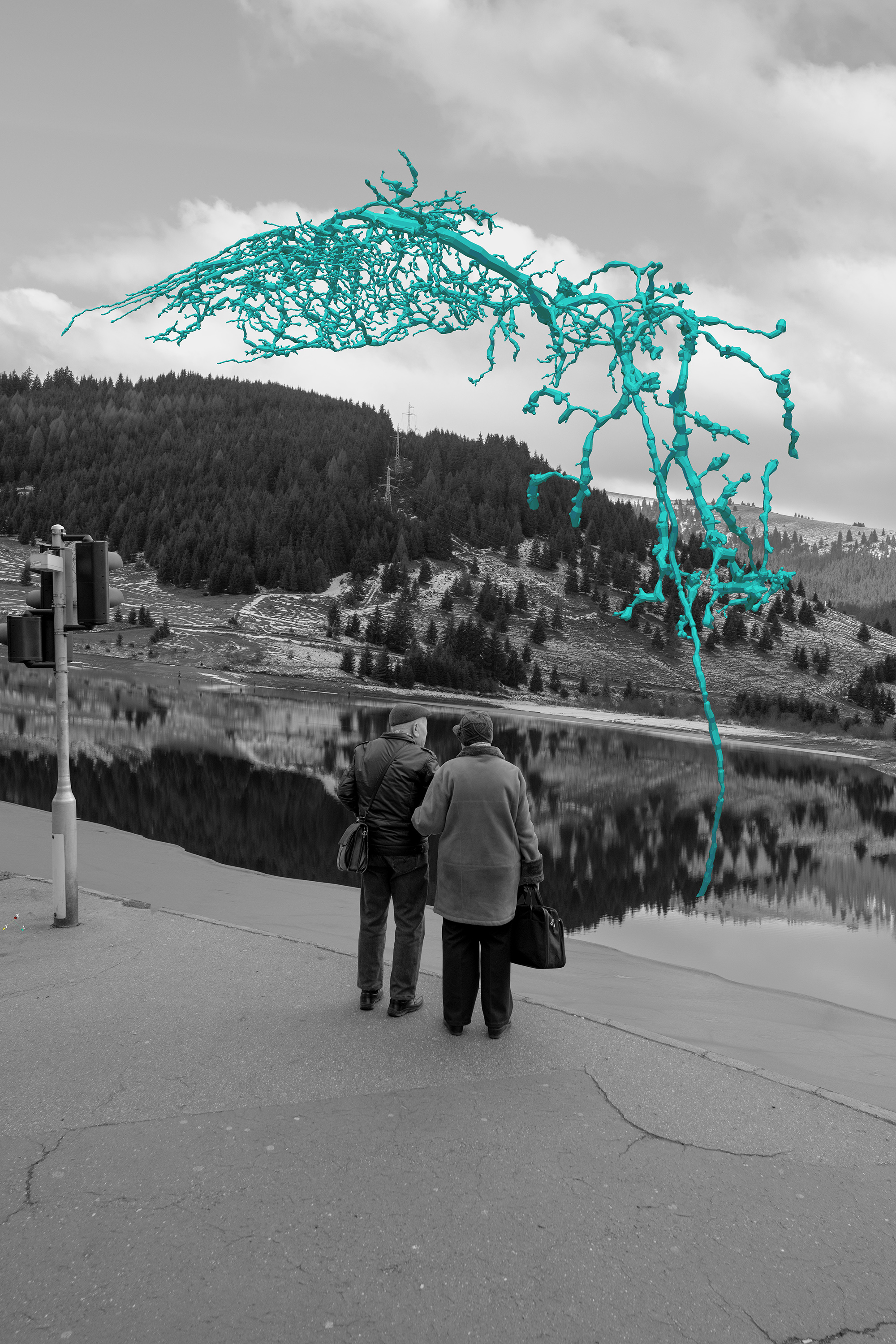 Teal neuron arching over an elderly couple at a lakeside