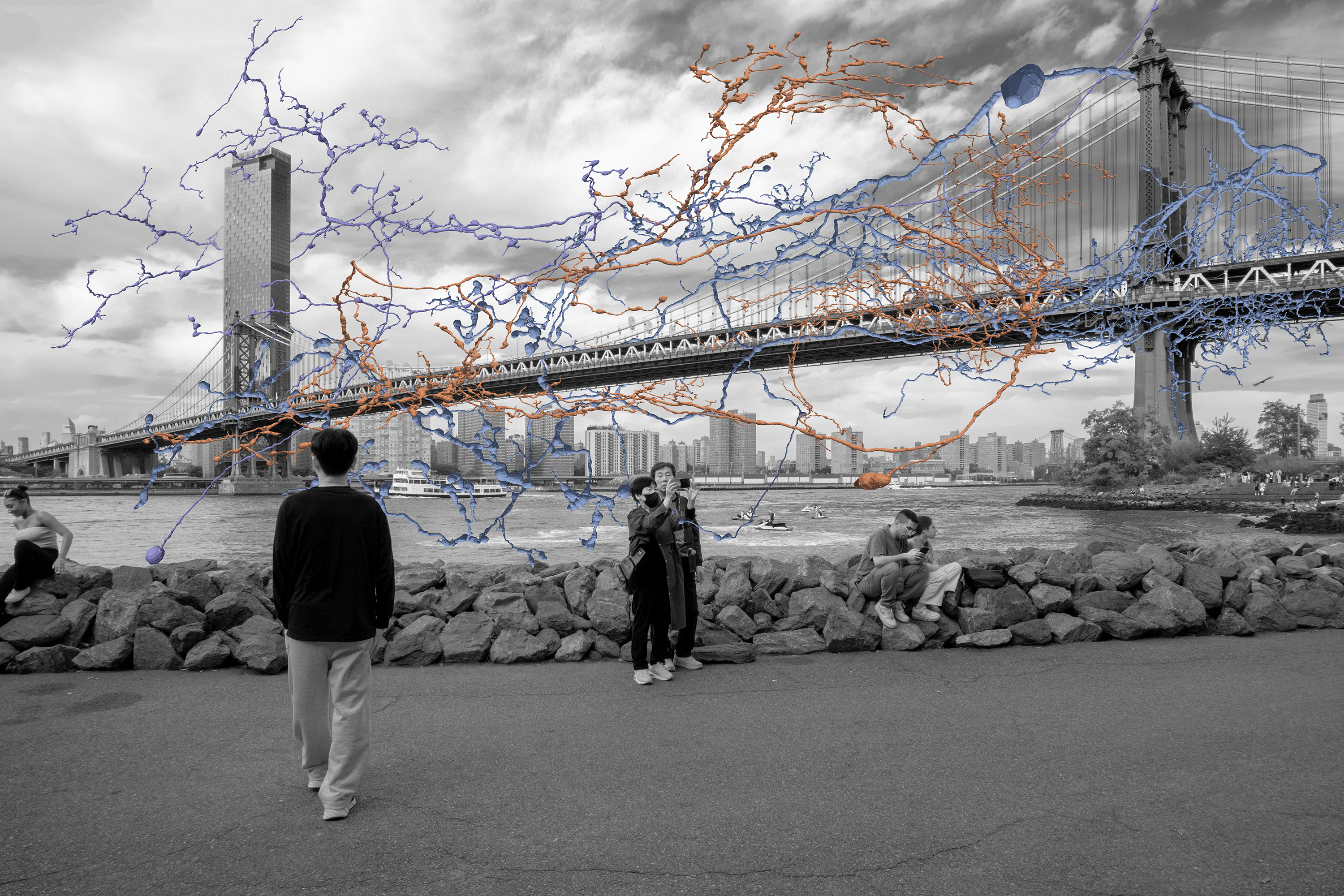 Neural network organizing along urban infrastructure