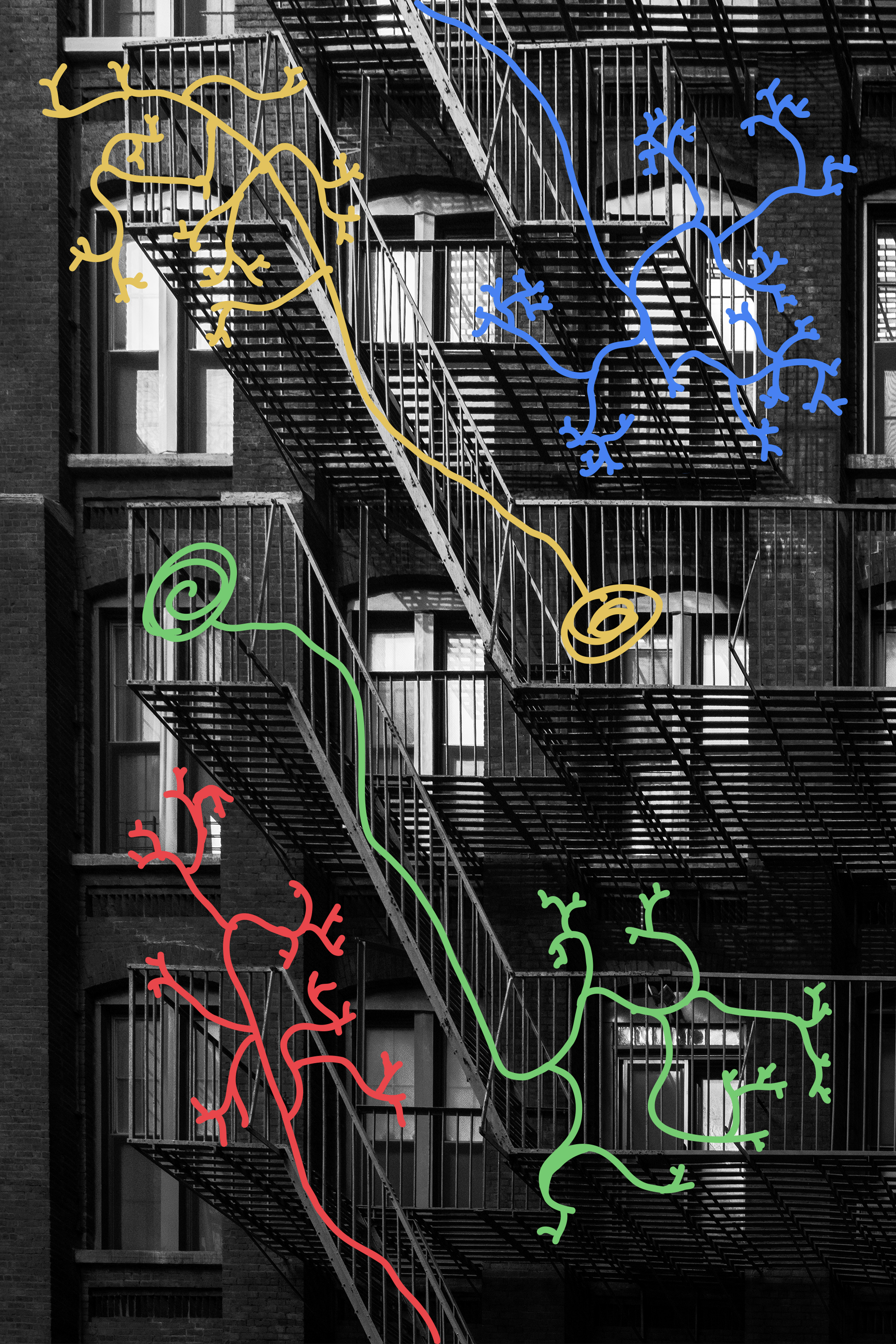 Constructivist neuron composition in geometric stillness