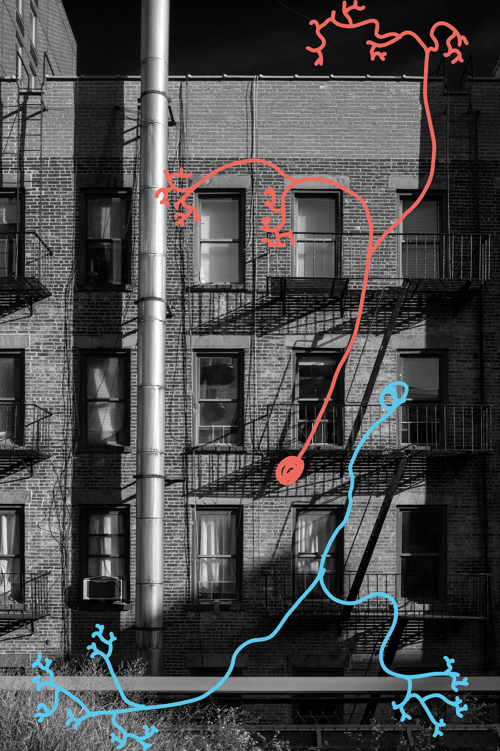 Multicolored neurons drawn on New York fire escapes