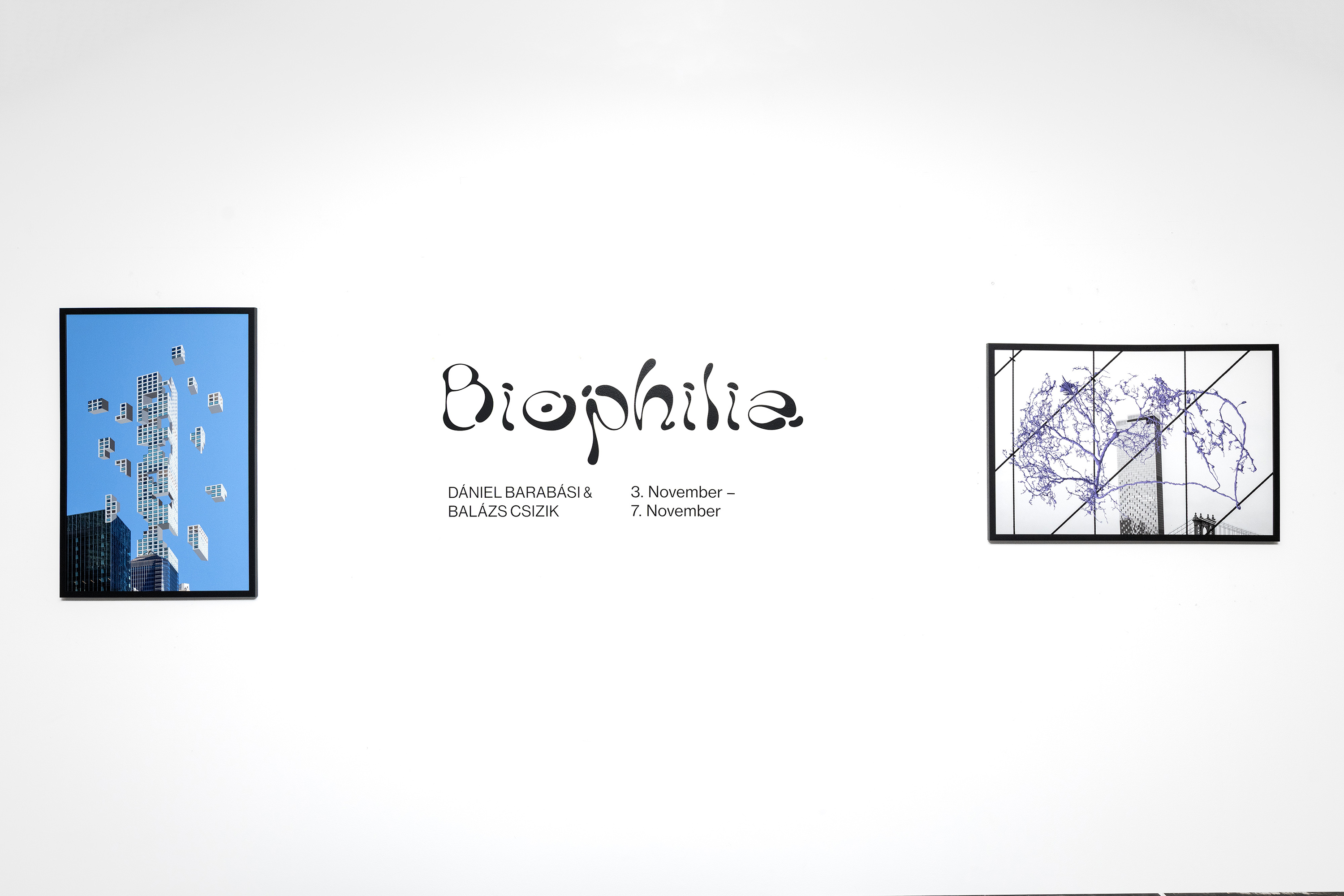 Biophilia installation with hand-lettered wordmark and two framed works